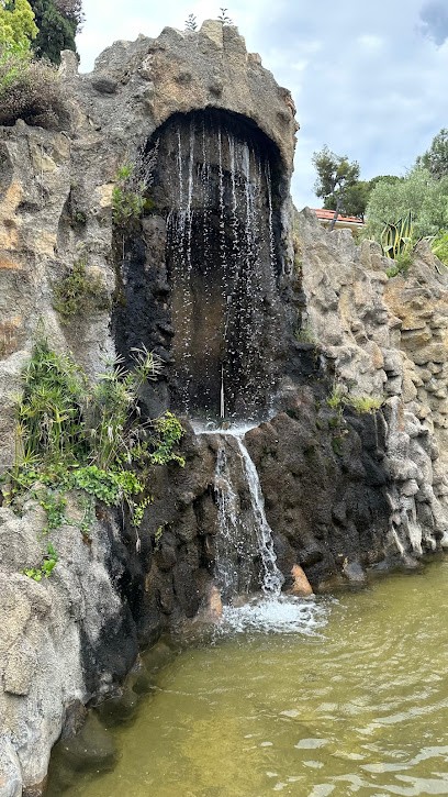 Duferflower Srl, Fiorista a Sanremo