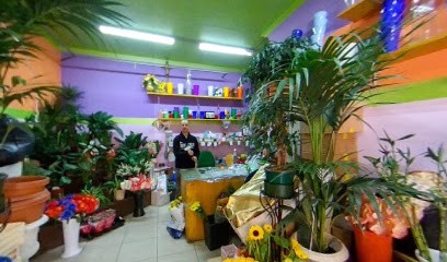 Piante E Fiori Platania, Fiorista a Valguarnera Caropepe