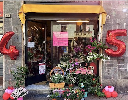 Lorusso Sabina, Fiorista a Nichelino