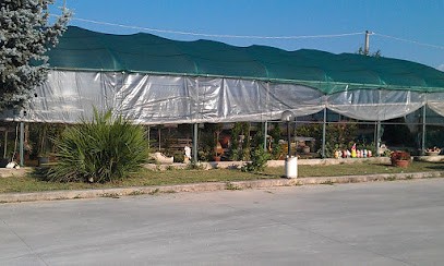 Momenti Magici Srl, Fiorista a Cepagatti