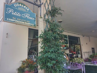 Petite Fleur Di Monea Angela, Fiorista a Galliate