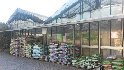 Garden Center Brizzolara di Brizzolara Jader, Fiorista a San Fermo della Battaglia