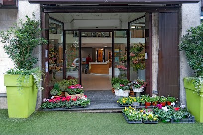 Fiorista Cappelletti, Fiorista a Cantù