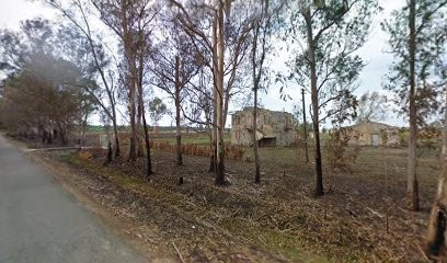 Loi Flor Sas Di Loiudice Gennaro & C., Fiorista a Sabaudia