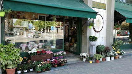 Il Fioraio, Fiorista a Rivarolo Canavese