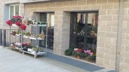 Fiori Emma Di Maurizio Barnobi, Fiorista a Trieste