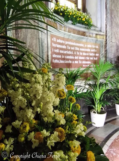 Flor Trade International - Ingrosso Fiori, Fiorista a Pompei