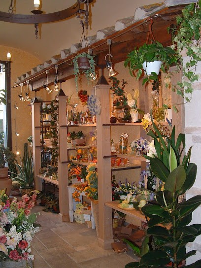 Fiori San Remo Di Luca Cervelli, Fiorista a Poggibonsi