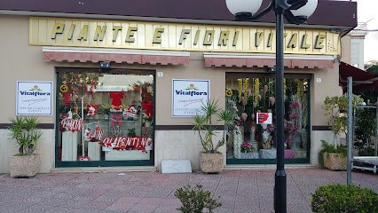 Vitalflora Di G. E A. Vitale Snc, Fiorista a Palermo