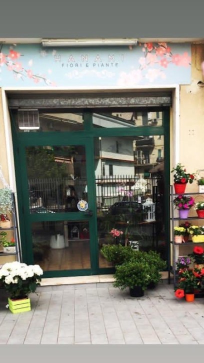Hanami Fiori E Piante, Fiorista a Colleferro