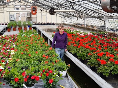 Avalle Floricoltura - Vivaio, Fiorista a Collegno