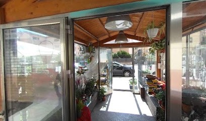 Serra Fiorita Di Gaetano Grasso, Fiorista a Palermo