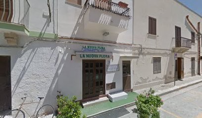 La Nuova Flora Di Torrente Francesca, Fiorista a Favignana