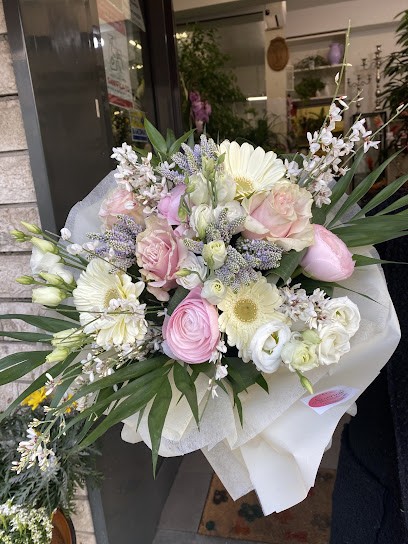 Severina Piante E Fiori Prato, Fiorista a Prato
