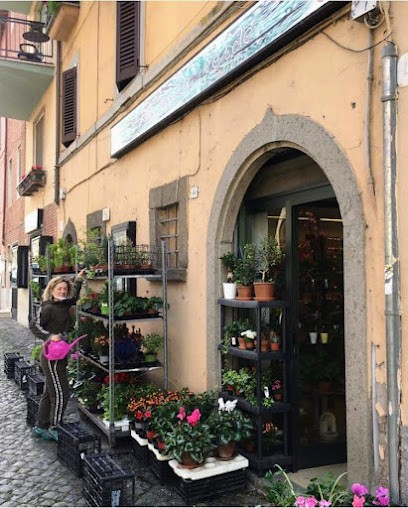 La Perla Verde Di Marina Papa, Fiorista a Vetralla