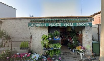 PIANTE FIORI E ADDOBBI BOCCIA ROSARIO, Fiorista a Poggiomarino