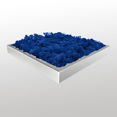 Giardino Verticale Per Interni - Roma, Fiorista a Roma