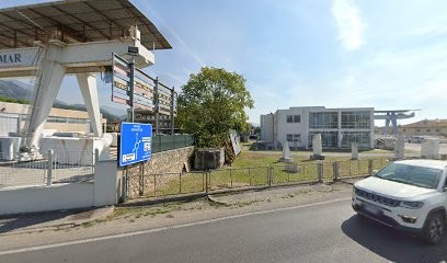 Landi Pietro, Fiorista a Pietrasanta