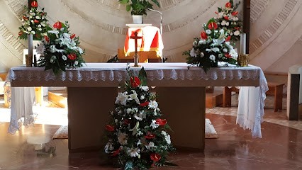 La Primavera Piante E Fiori, Fiorista a Pomezia