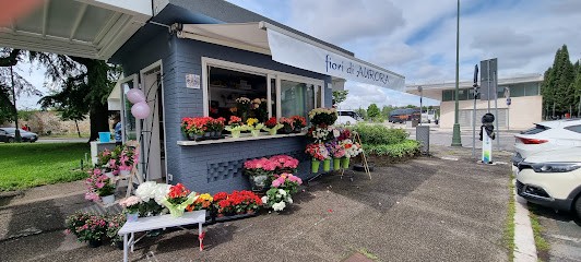 Fiori Da Aurora, Fiorista a Verona