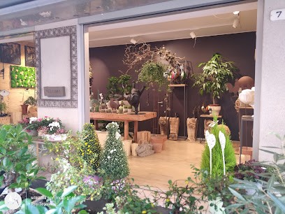 Fioreria Non Solo Fiori, Fiorista a Casarsa della Delizia