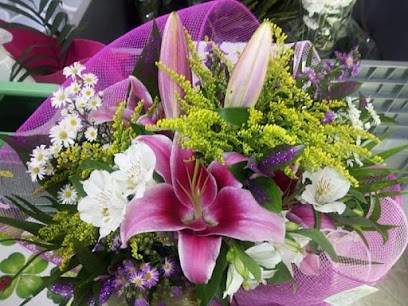 Iris Fiori Mosciano, Fiorista a Mosciano Sant'Angelo