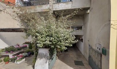 Andreina Fiori Di Piredda Michela, Fiorista a Orani