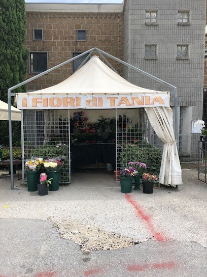 F&F Fiori / I Fiori Di Tania, Fiorista a Isernia