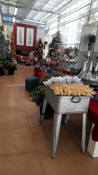 Garden Il Pioppo, Fiorista a Palazzolo sull'Oglio