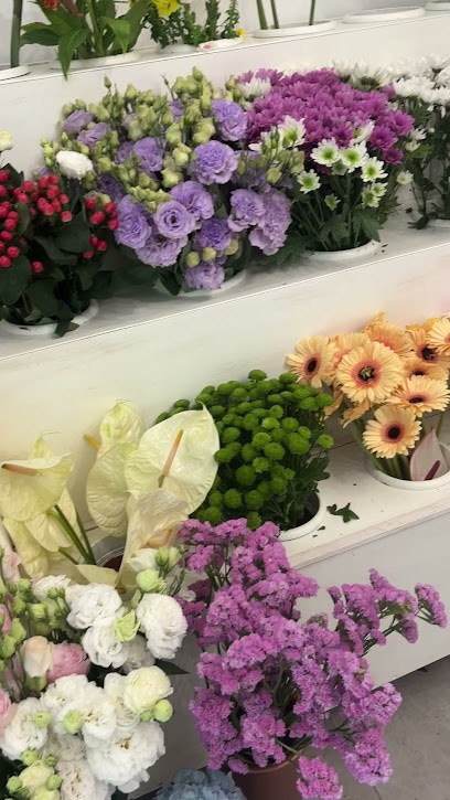 Fiori Della Riviera Ceci Di Ceparano E Milione D, Fiorista a San Severo