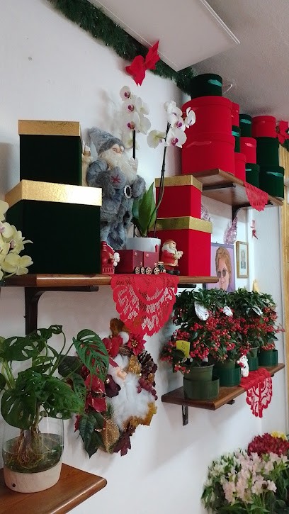 La Bottega Del Fiore, Fiorista a Sassari