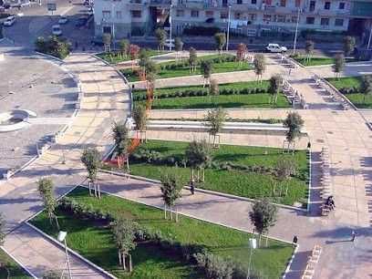 Iris Piante, Fiorista a Mariglianella