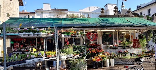 Fiori Di Città, Fiorista a Udine