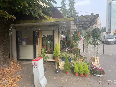 B. Fiorista Marelli, Fiorista a Sesto San Giovanni