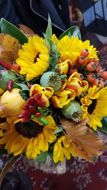 Fioreria Da Tania & Licia Snc, Fiorista a Riccione