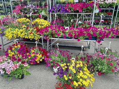 Petrilli Franco, Fiorista a Modena