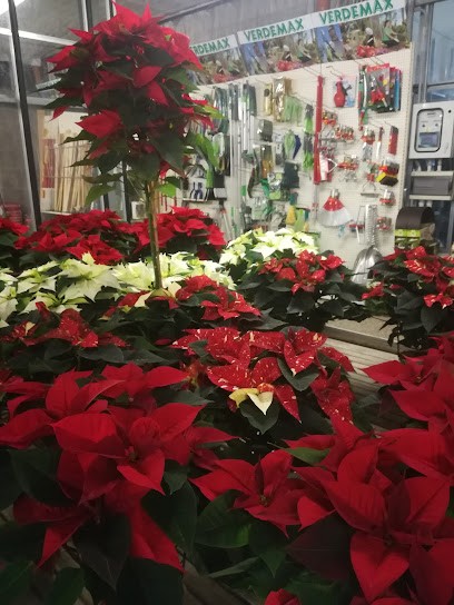 Vivai Franceschetto Societa' Agricola, Fiorista a Teolo