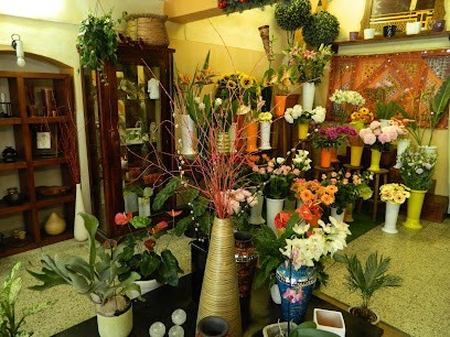 La Ginestra Di Fiore Francesco, Fiorista a Triggiano