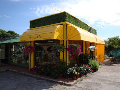 Ape Maia, Fiorista a Livorno