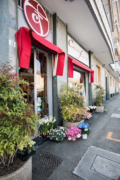 Fiori E Piante Carro Fiorito, Fiorista a Rivoli