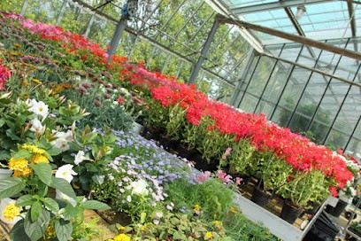 Vivaio Santigaro, Fiorista a San Felice del Benaco