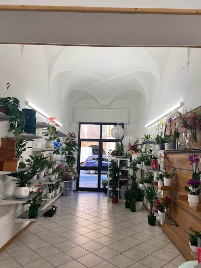 Nuova Fioreria IL TULIPANO Di Pamini Sabrina, Fiorista a Castel Bolognese