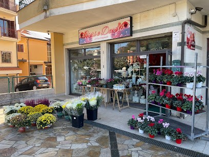 Fiori E Decori, Fiorista a Vibo Valentia