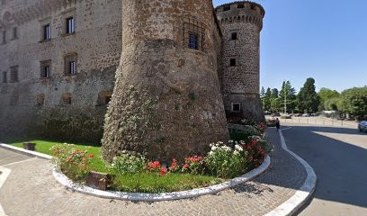 Primavera Di Zappi Agostina, Fiorista a Vasanello