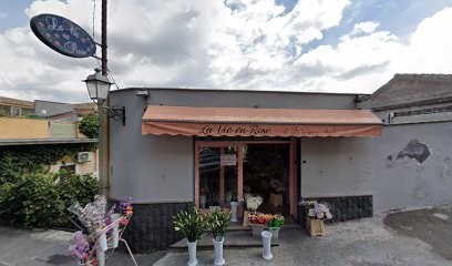 Di Gregorio Angelo, Fiorista a Paternò