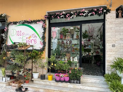 Dilloconunfiore Consegne Fiori Salerno E Provincia, Fiorista a San Cipriano Picentino