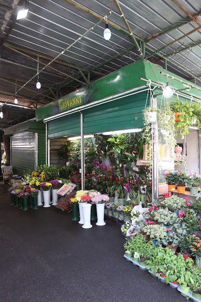 Giovanni - Fiori E Piante, Fiorista a Roma