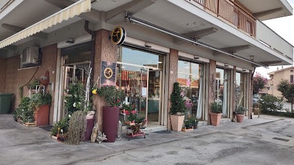 Postacchini Fiori Di Postacchini A. Maria, Fiorista a Porto San Giorgio