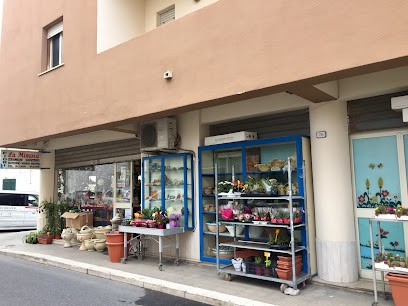 La Mimosa – Bonomo Maria Bruna, Fiorista a Pantelleria