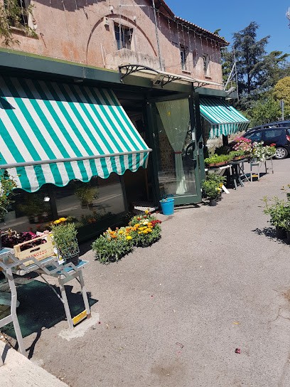 Mara Piante E Fiori, Fiorista a Roma